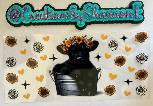 Black Highland Cow