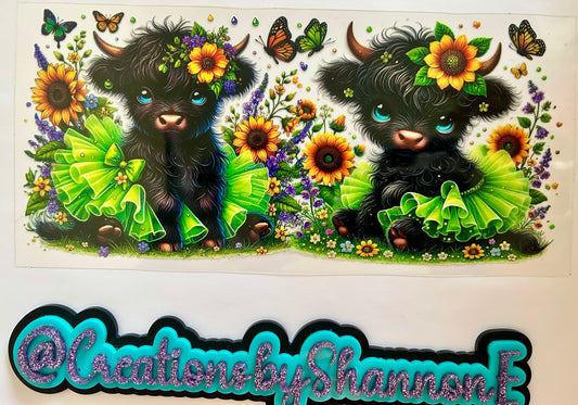 Highland Cow