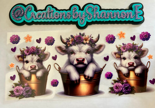 Highland Cows